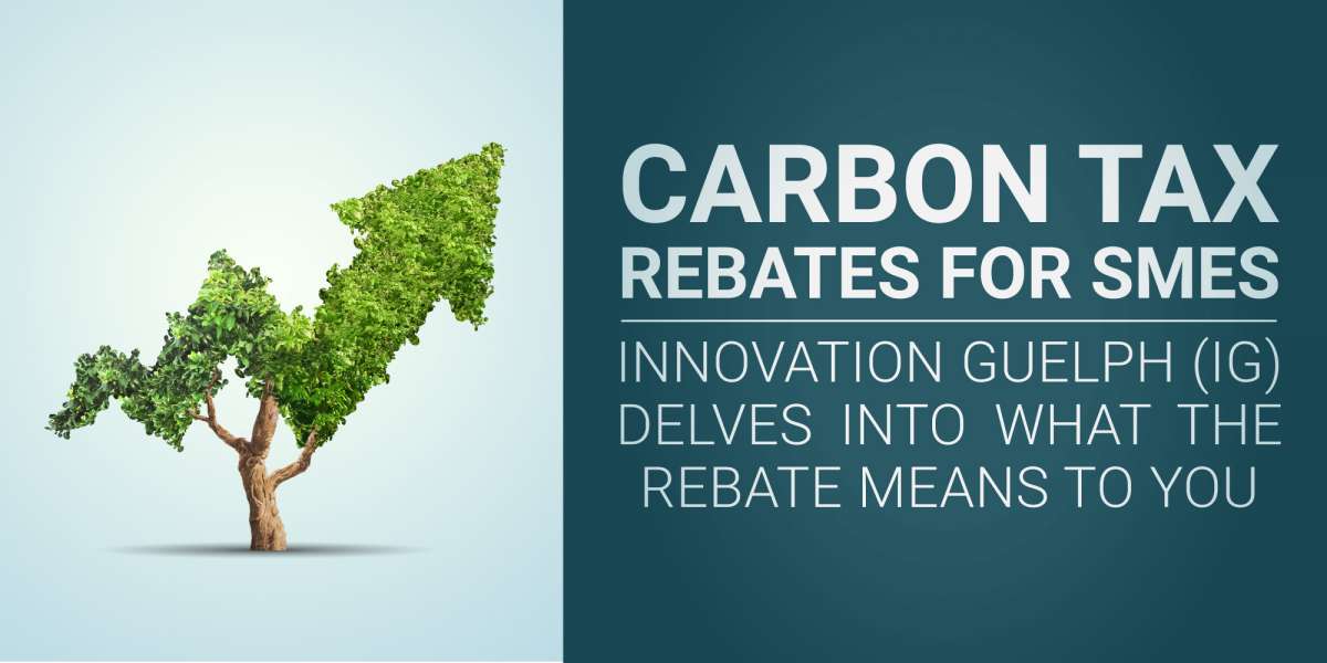 carbon-tax-rebates-for-smes-what-the-rebate-means-to-you-innovation-guelph